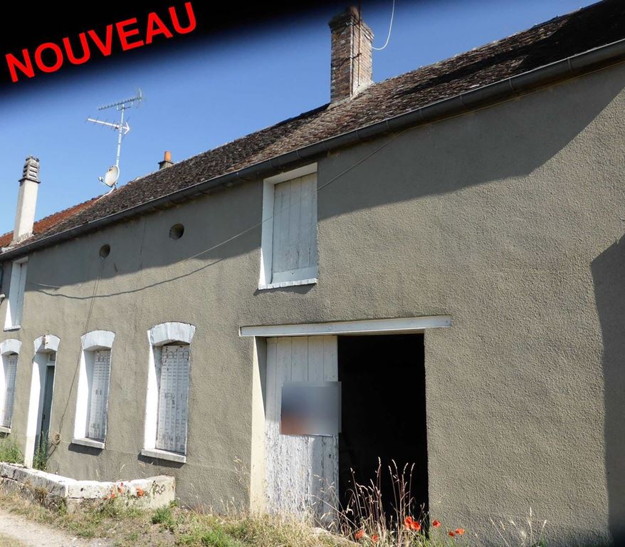 Maison en pierre DORDIVES (45680) Contact Immobilier