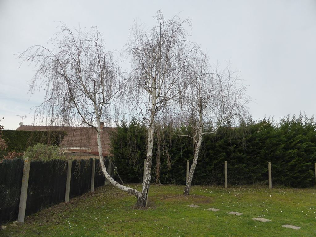 Pavillon PANNES (45700) Contact Immobilier